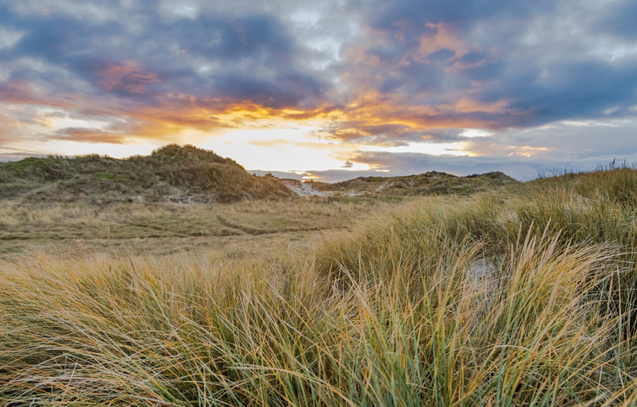 duinen