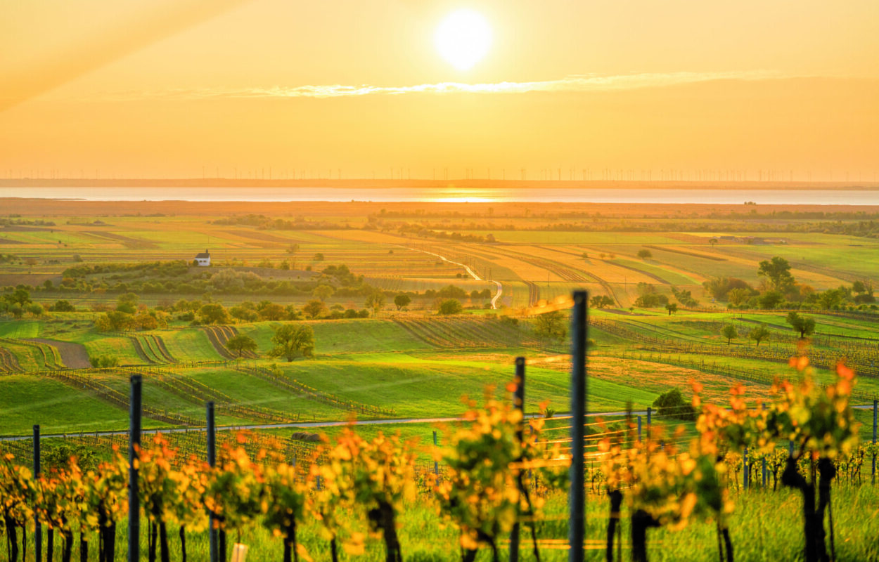 Oggau_Panorama_Neusiedlersee(c)Burgenland Tourismus_Birgit Machtinger