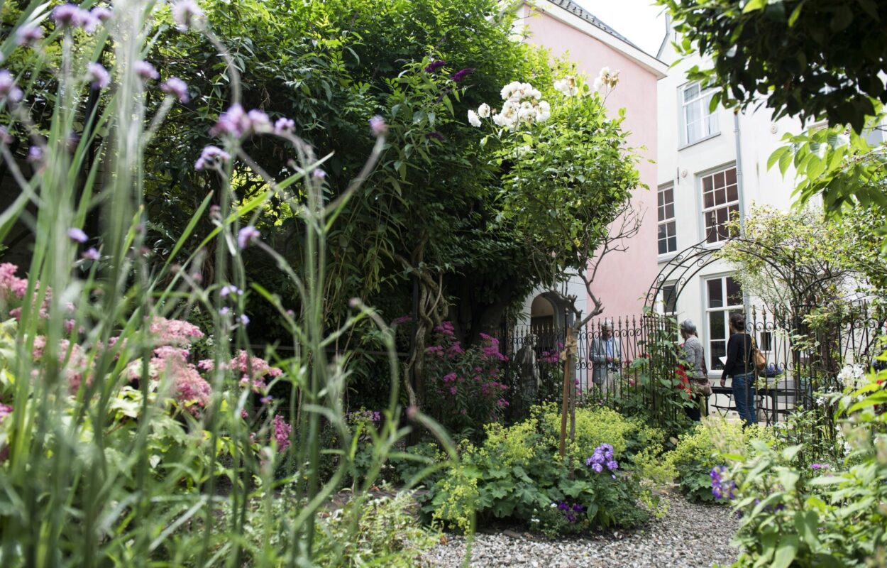 Open Tuinendag Beeld - Oudegracht 296.4
