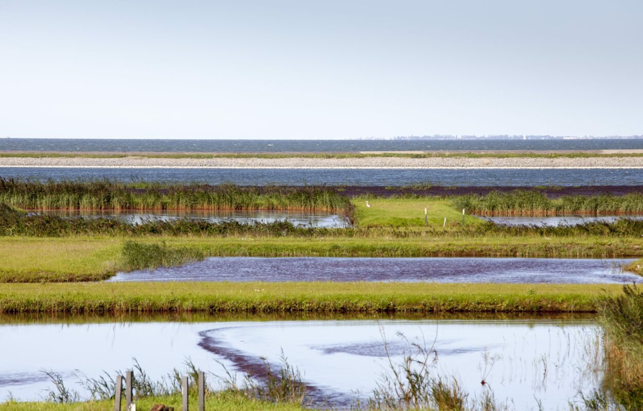 Het uitzicht op fietsroute Hoorn is prachtig