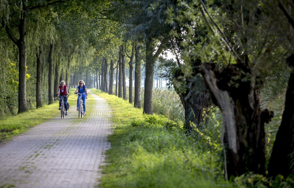 De fietsroute vanuit Tiel gidst je dwars door de Betuwe