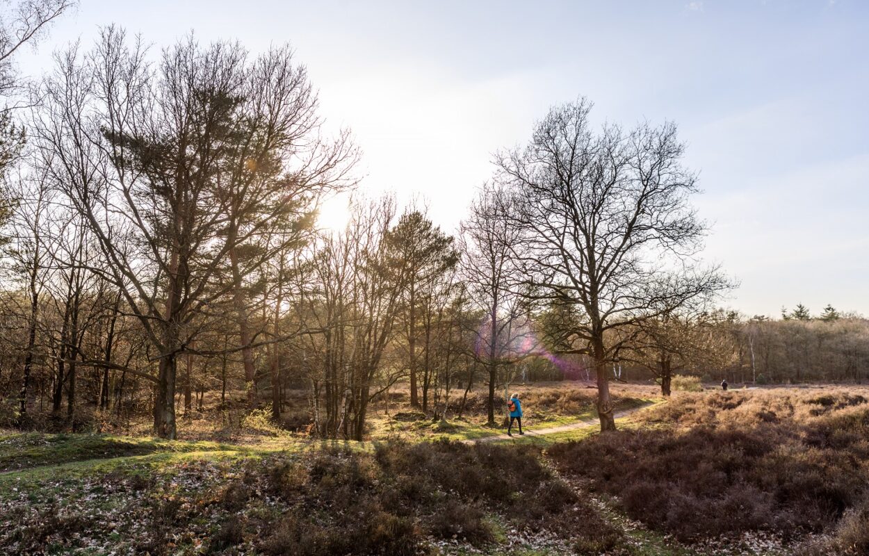 Wandelroute Hilversum