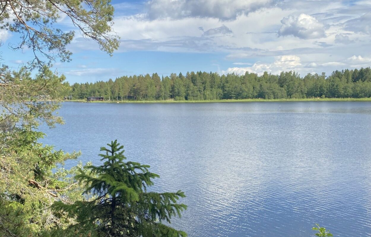 Stilte in Finland 1 Stilte in Finland 1