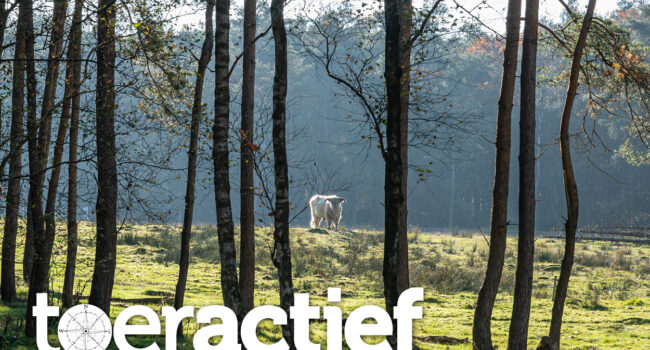 TA2024_02_Nieuwsbrief_banners5