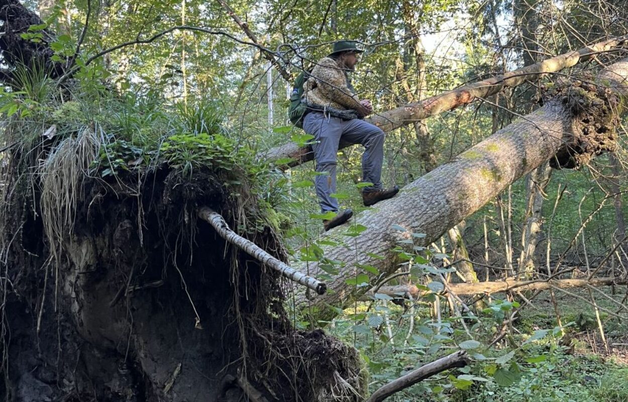 Travel special oerbos