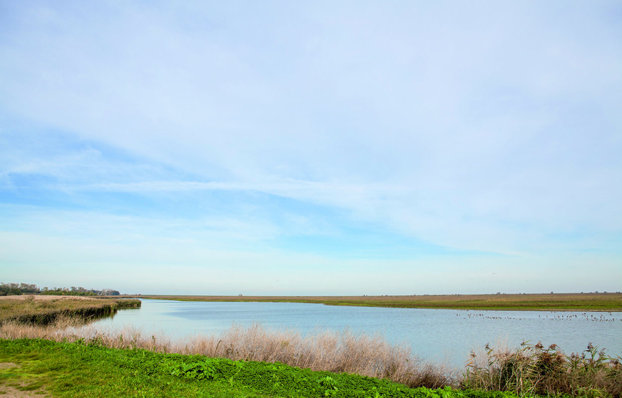 Wandelroute Almere