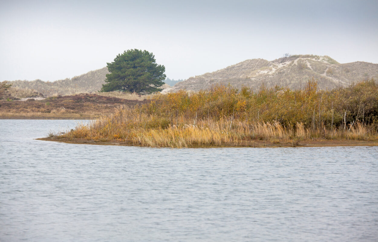 Wandelroute Bergen aan Zee