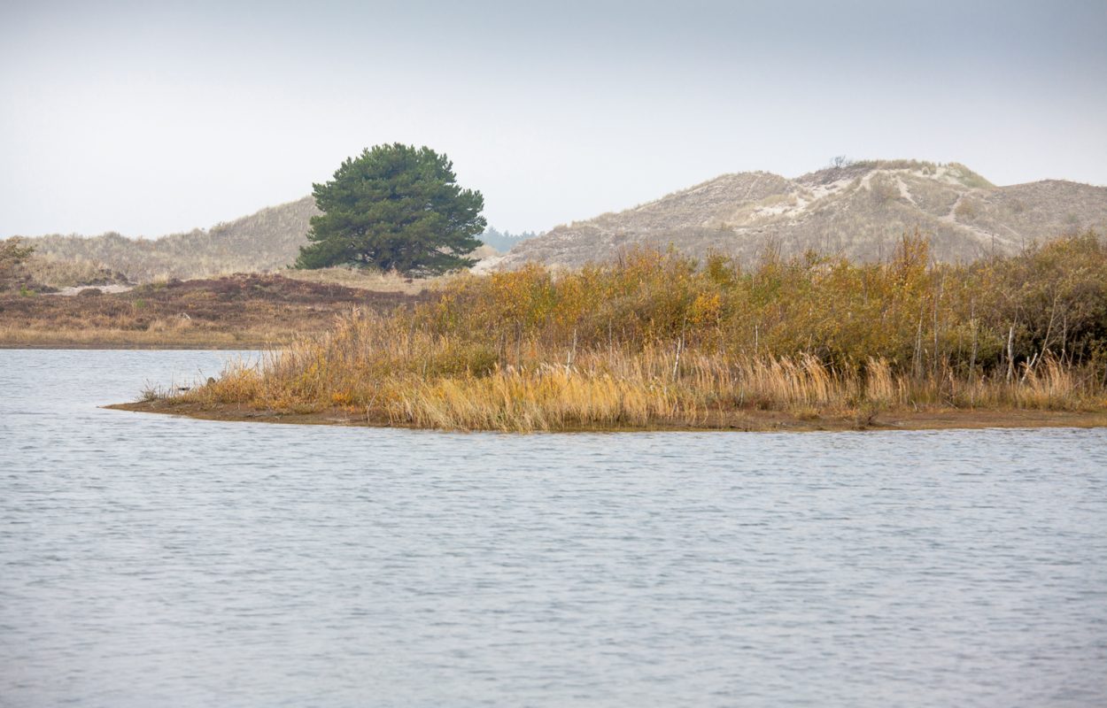Wandelroute Bergen aan Zee