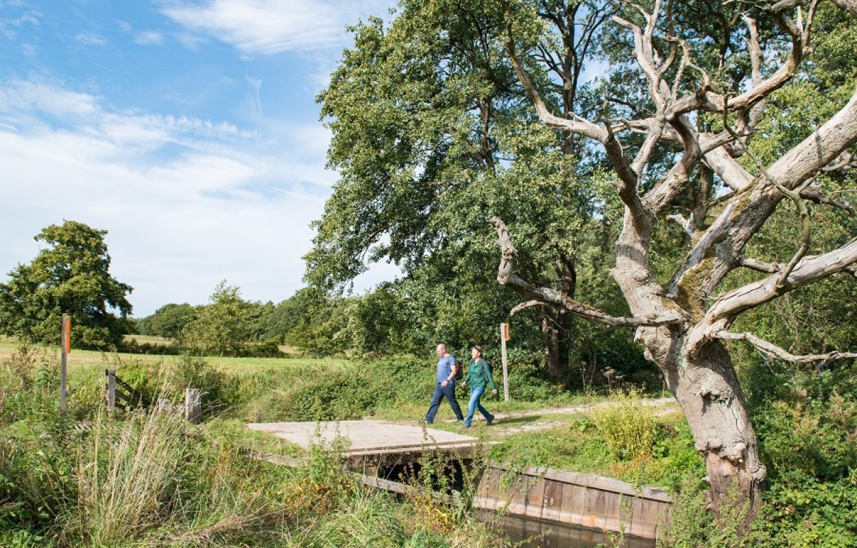 Wandelroute Gasteren