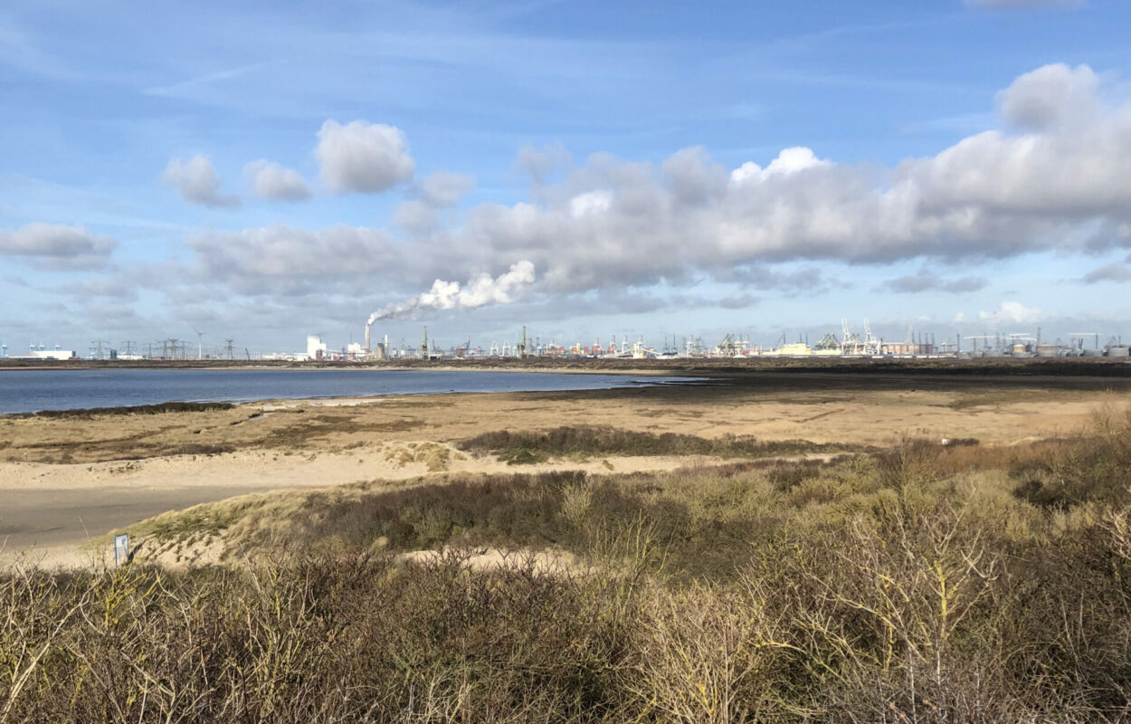 Wandelroute Rockanje: waar natuur en industrie samenkomen