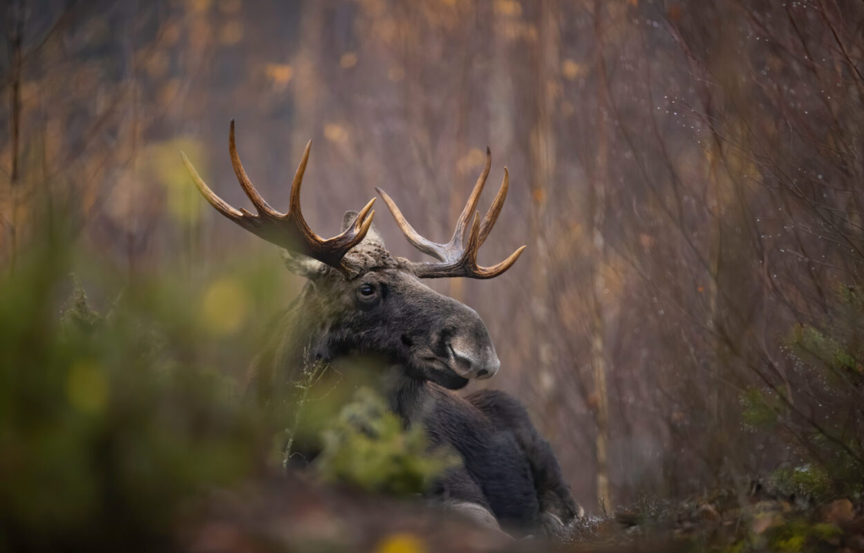 Foto credits: Polish Tourism Organisation