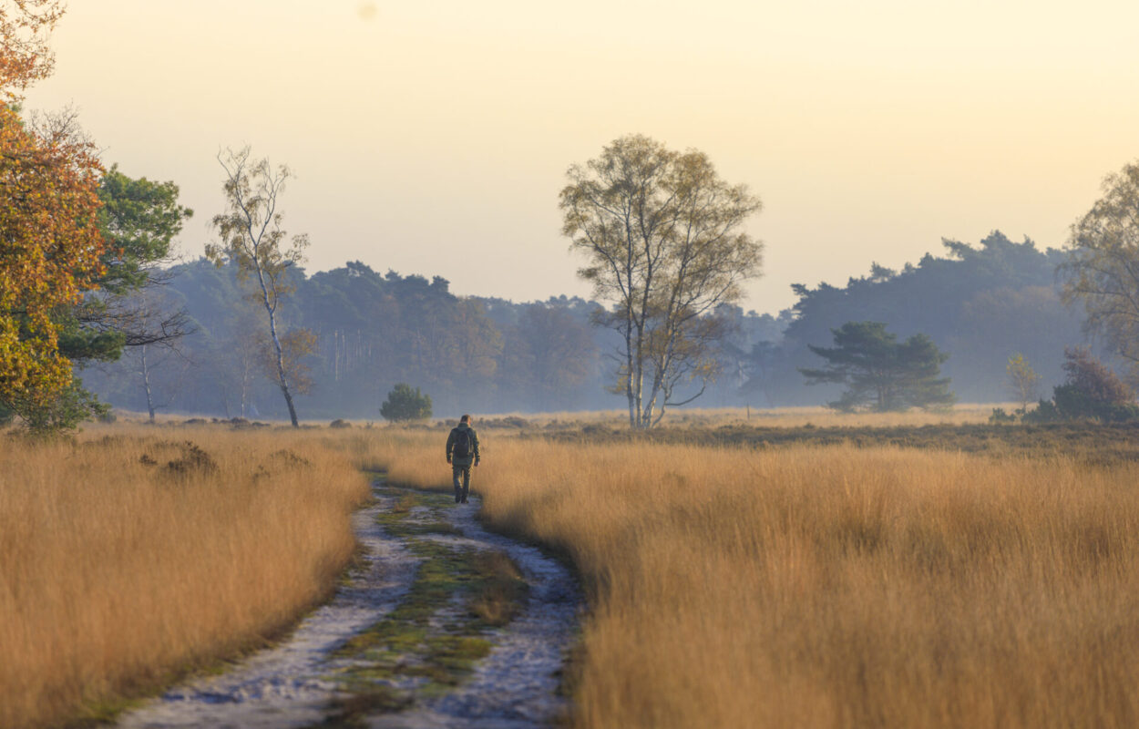 Vierhouten & Elspeet, Noorderheide. Foto: VisitVeluwe