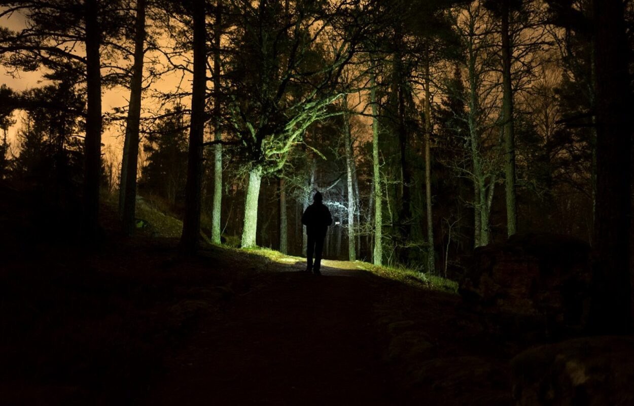 Veilig wandelen in het donker, met de hond of in alleen - Toeractief