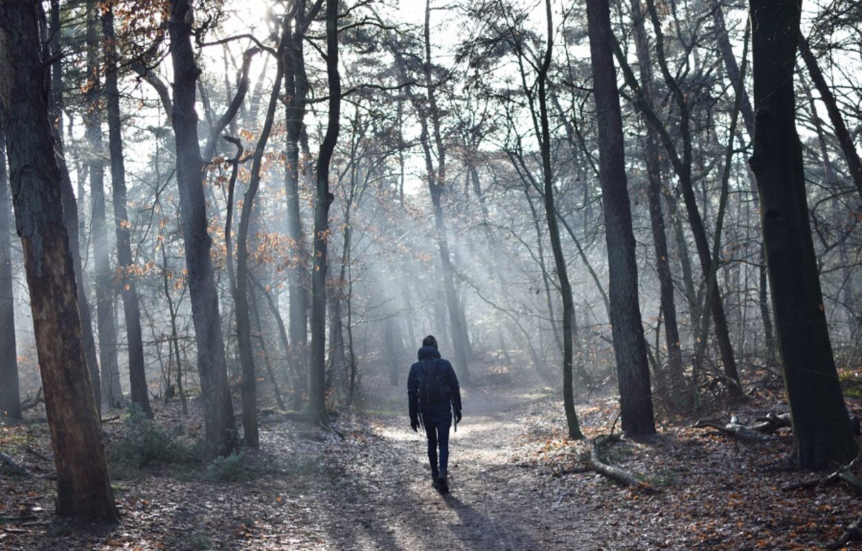 wandelen gezond