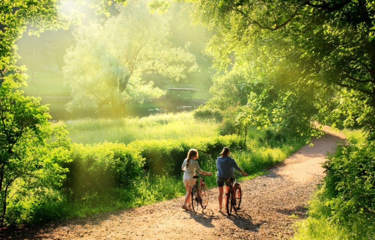 Fietsen en wandelen