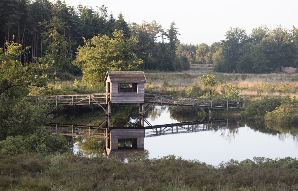 wandelroute Hardenberg