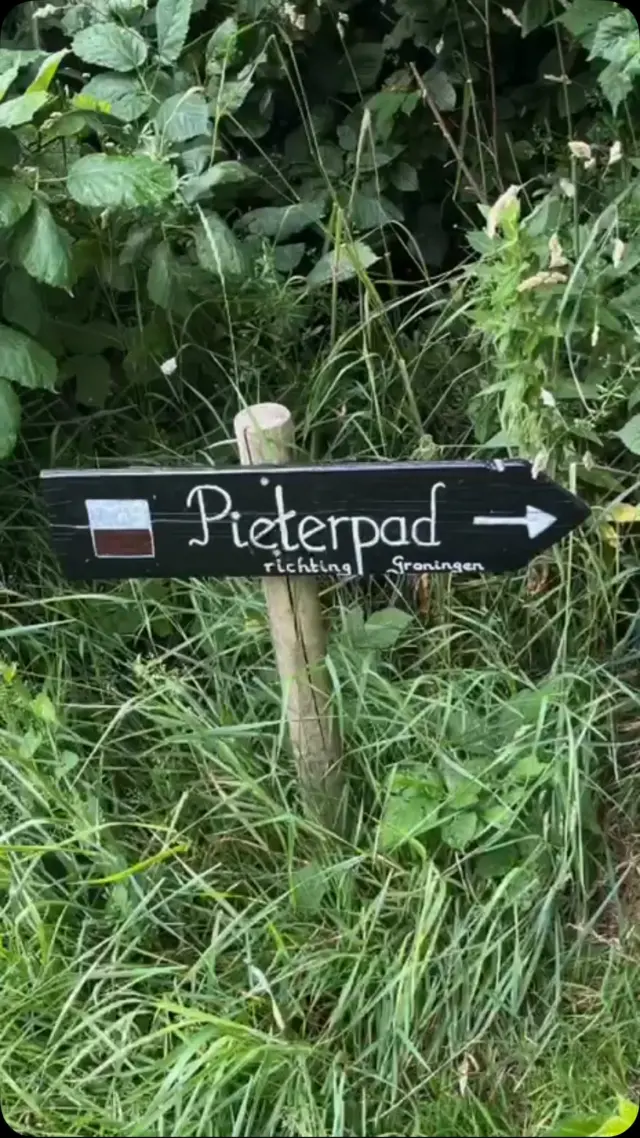 Onze ondernemende collega Marjanne trok onlangs drie dagen over het Pieterpad. En dat was bijzonder leuk! Zie hier een impressie van de mooie, unieke, kunstzinnige en natuurrijke plekjes die ze tegenkwam.

Zo sliep ze bij kleurrijke B&B De Krakende Wagens, kwam op verrassende rustplekjes en ontmoette verschillende vogels. Na Nationaal Park Drentsche Aa, logeren in Winsum en het prachtige Maarhuizen: op naar volgende etappes!

Ben jij al eens op het Pieterpad geweest?

#toeractief #toeractiefmagazine #bewustbuitenbeleven #wandelen #natuur #pieterpad